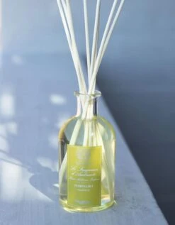 Grapefruit Diffuser, 250 ML -Home Fragrance Store 2GF 1 600x 45560416 da68 42a3 bf4d eb2ba514088f