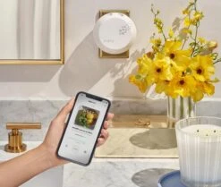 Amalfi Lemon & Mint Refill Duo For Pura Smart Home Fragrance Diffuser -Home Fragrance Store NESTNY CORE AML DIF PURA REF 4