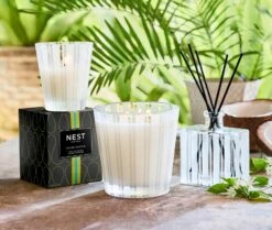 Coconut & Palm Reed Diffuser 9 Coconut & Palm Reed Diffuser -Home Fragrance Store NESTNY CORE CPA DIF REED 4