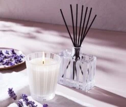 Cedar Leaf & Lavender Reed Diffuser -Home Fragrance Store NESTNY CORE CV DIF REED 4