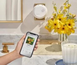 Grapefruit Refill Duo For Pura Smart Home Fragrance Diffuser -Home Fragrance Store NESTNY CORE GF DIF PURA REF 4