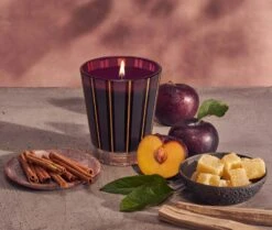 Autumn Plum Classic Candle -Home Fragrance Store NESTNY FF ATP CAN CL 3