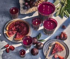 Autumn Plum Classic Candle -Home Fragrance Store NESTNY FF ATP CAN CL 4