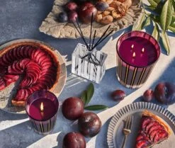 Autumn Plum Reed Diffuser -Home Fragrance Store NESTNY FF ATP DIF REED 3