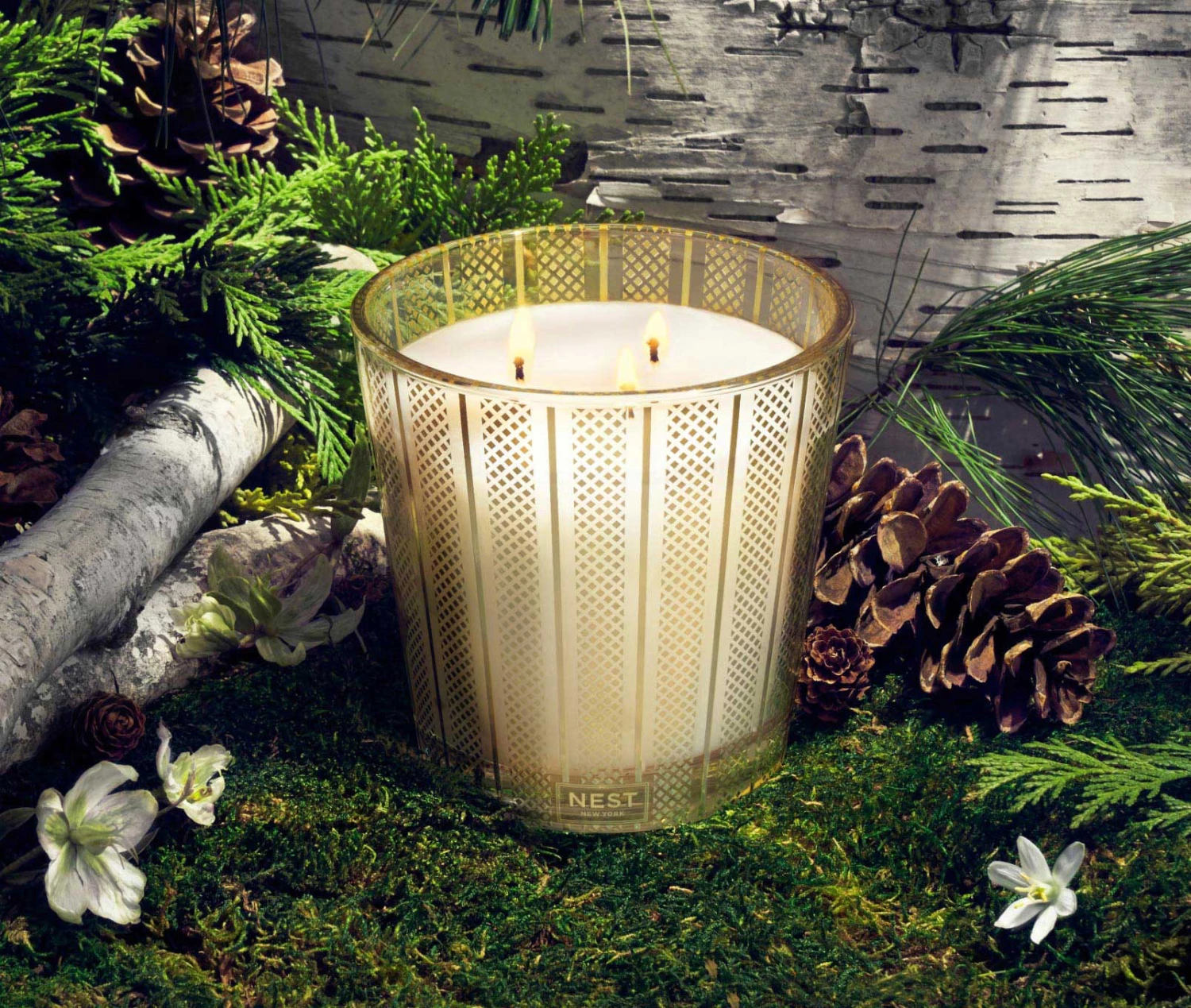 Birchwood Pine 3-Wick Candle 4 Birchwood Pine 3-Wick Candle - Image 2