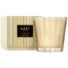 Birchwood Pine Luxury Candle -Home Fragrance Store NESTNY FF BP CAN LX 1 white background