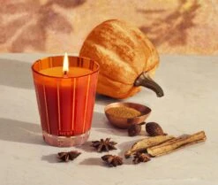 Home Fragrance Store -Home Fragrance Store NESTNY FF PC CAN CL 2 8664f607 1ad8 4a24 81fe cf9eae89b94b