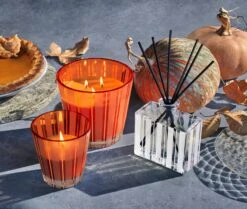 Pumpkin Chai Reed Diffuser 7 Pumpkin Chai Reed Diffuser -Home Fragrance Store NESTNY FF PC DIF REED 3