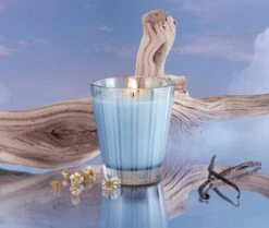 Driftwood & Chamomile Classic Candle -Home Fragrance Store NESTNY WELL DC CAN CL 3