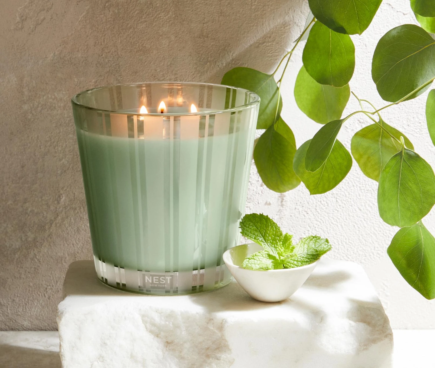 Wild Mint & Eucalyptus 3-Wick Candle 4 Wild Mint & Eucalyptus 3-Wick Candle - Image 2