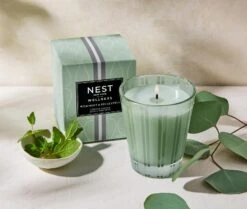 Wild Mint & Eucalyptus Classic Candle -Home Fragrance Store NESTNY WELL ECS CAN CL 3