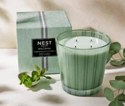 Wild Mint & Eucalyptus Luxury Candle -Home Fragrance Store NESTNY WELL ECS CAN LX 3
