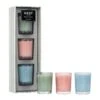 Wellness Festive Votive Trio -Home Fragrance Store NESTNY WELL SET ECS DC HSR CAN V TRIO 1 white background