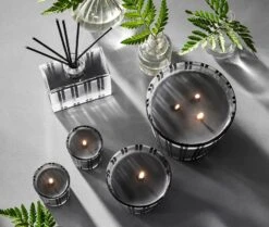 Charcoal Woods Reed Diffuser -Home Fragrance Store NESTNY WILD CW DIF REED 4