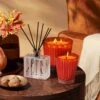 Pumpkin Chai Candles + Diffusers 1 Pumpkin Chai Candles + Diffusers -Home Fragrance Store nestnewyork pumpkinchai candle 3wick 3